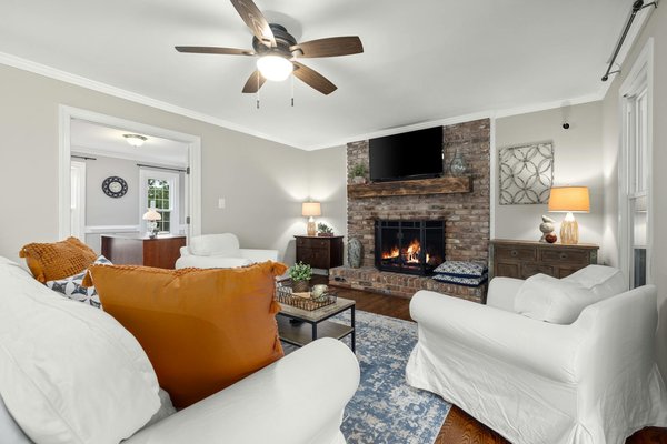 Cultiver des Plantes d'Intérieur : Votre Guide Pratique Complet pour une Multiplication Réussie étape par étape