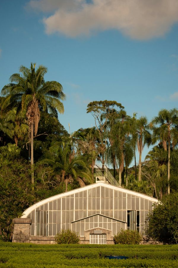 Pourquoi j'ai finalement craqué pour une serre de jardin (et ce que personne ne vous dit avant)